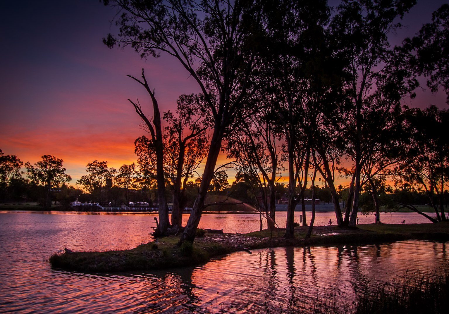 Murray_River,_Mildura_Victoria_-_South_Australia